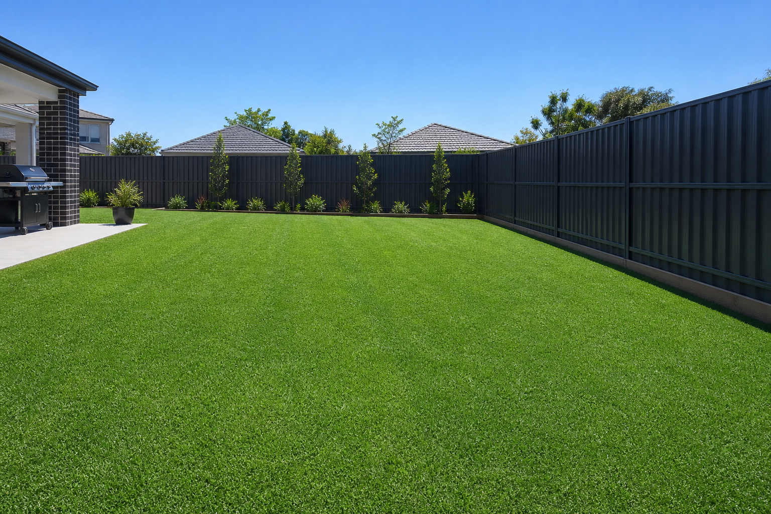 Santa Ana Couch lawn in a large open suburban backyard